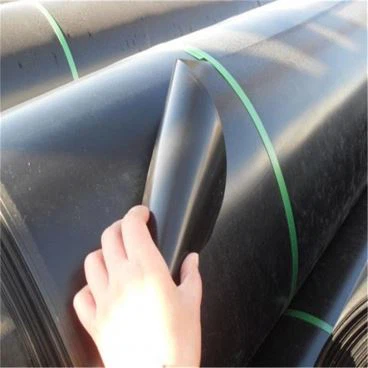 LDPE Geomembrane